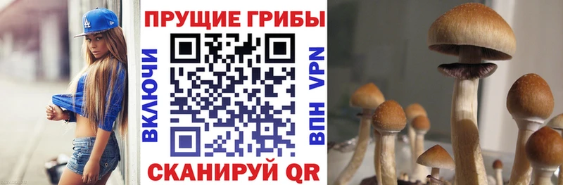 Галлюциногенные грибы Magic Shrooms  хочу наркоту  ссылка на мегу зеркало  Хабаровск 