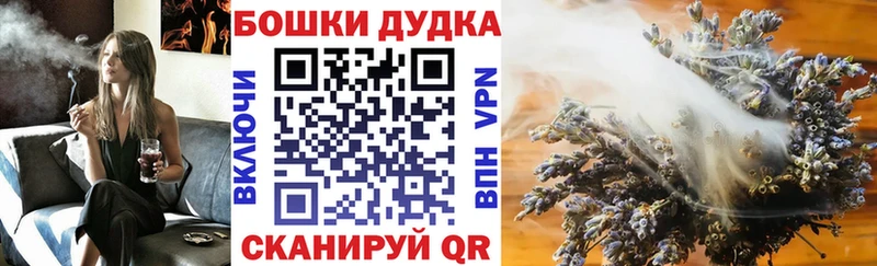 Шишки марихуана OG Kush  купить наркотик  Хабаровск 